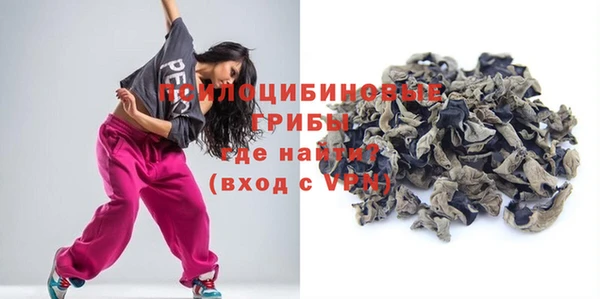 2c-b Богородицк