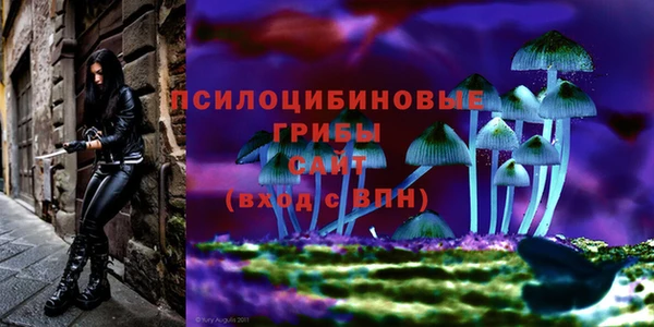 каннабис Богданович