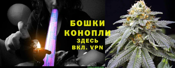 прущие грибы Бабаево