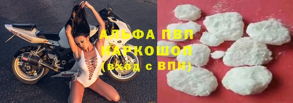 каннабис Богданович
