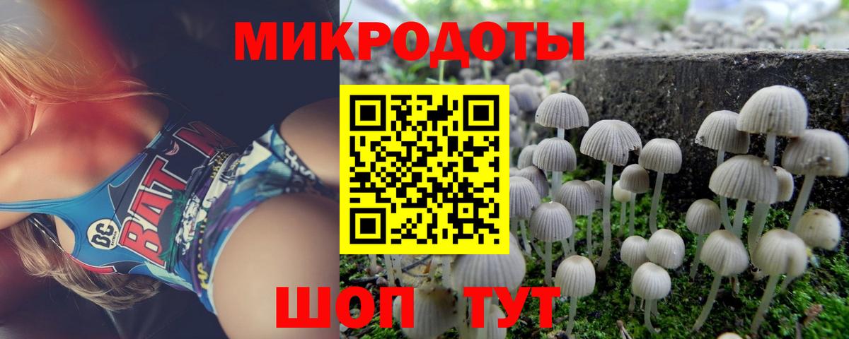 Галлюциногенные грибы Magic Shrooms  наркота  Волоколамск  Вход с VPN 